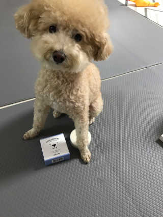 모모맘님이 올린 리뷰 사진 1