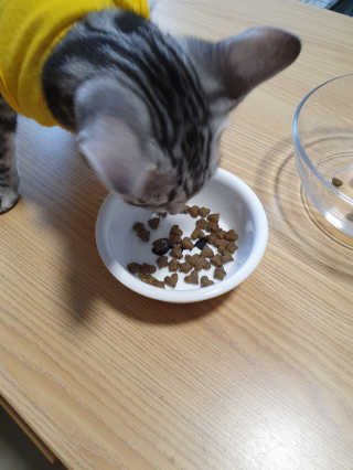 유리맘님이 올린 리뷰 사진 1
