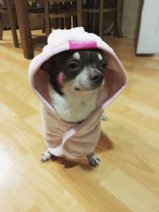 아이스크림님이 올린 리뷰 사진 2