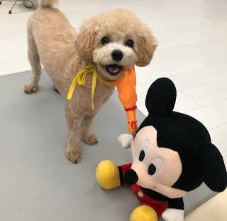 모모님이 올린 리뷰 사진 1