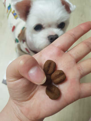 욤이잉님이 올린 리뷰 사진 3