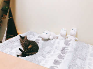 하영님이 올린 리뷰 사진 1