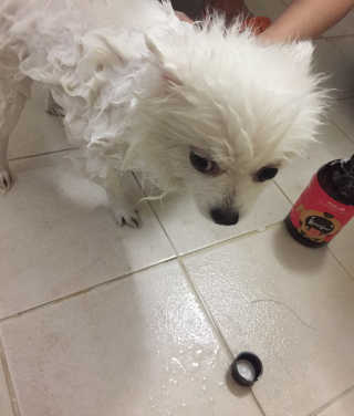 horim님이 올린 리뷰 사진 2
