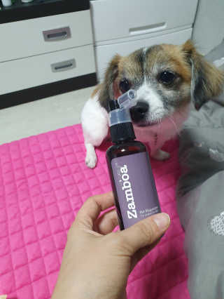 김미진님이 올린 리뷰 사진 2