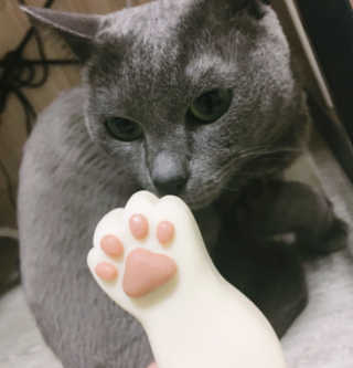 림링님이 올린 리뷰 사진 2