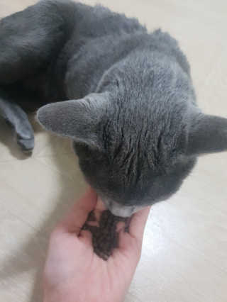 뀨뀨꺄꺄님이 올린 리뷰 사진 3