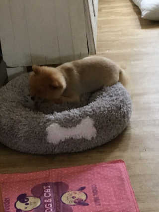 러블리님이 올린 리뷰 사진 4