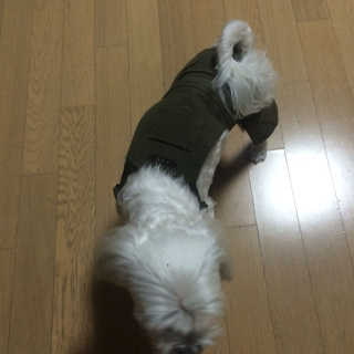 BoeunLee님이 올린 리뷰 사진 1