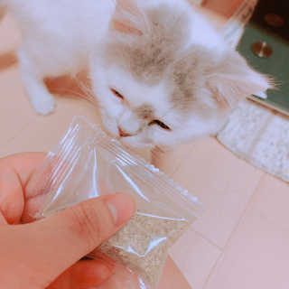 Caroline님이 올린 리뷰 사진 2