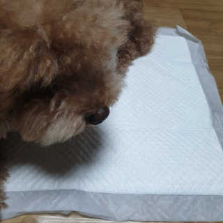 Lala님이 올린 리뷰 사진 3