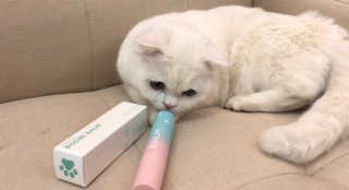 슬기님이 올린 리뷰 사진 2