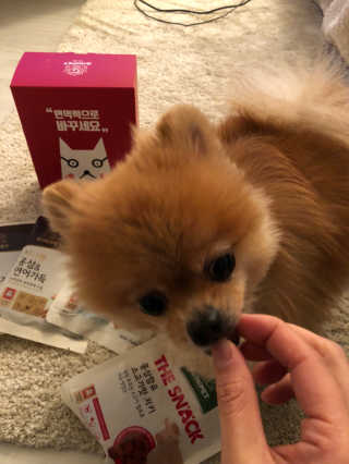 서우희님이 올린 리뷰 사진 2
