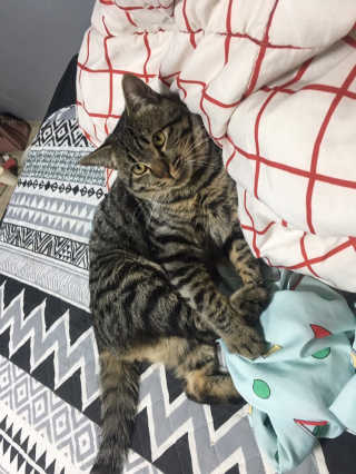 끼욤윤윤님이 올린 리뷰 사진 3