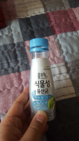 보크다님이 올린 리뷰 사진 1
