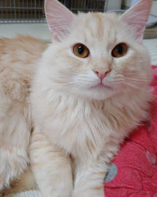Lim님이 올린 리뷰 사진 3