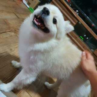 진진님이 올린 리뷰 사진 2