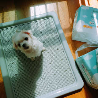 견우네님이 올린 리뷰 사진 1