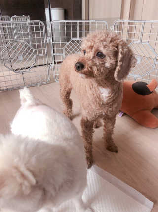 유탱블님이 올린 리뷰 사진 3