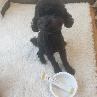 4또러버님이 올린 리뷰 사진 2