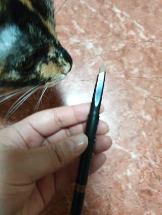 아리네님이 올린 리뷰 사진 2