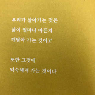 YuJinjoo님이 올린 리뷰 사진 3