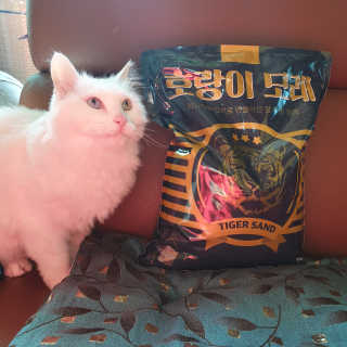 Lilly❤️님이 올린 리뷰 사진 1