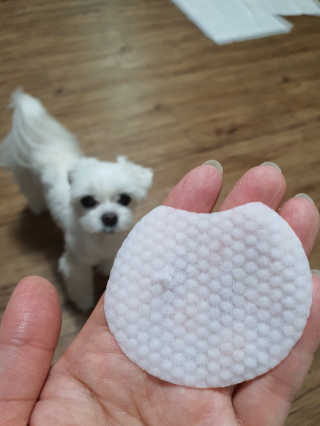 뽀오오옹님이 올린 리뷰 사진 2