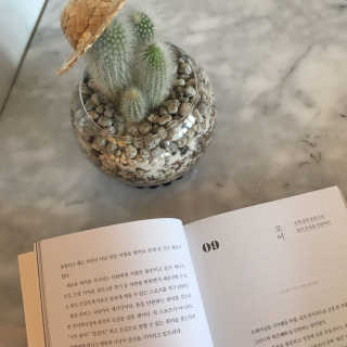 금모띠님이 올린 리뷰 사진 4