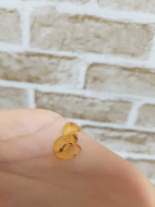 또뇽이님이 올린 리뷰 사진 1