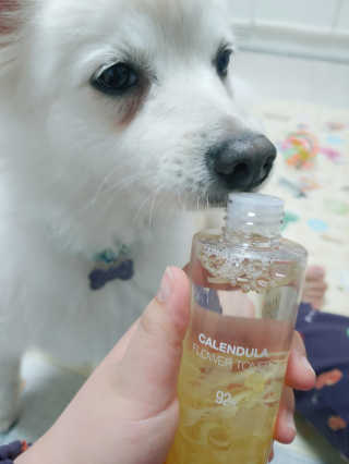 또미님이 올린 리뷰 사진 2