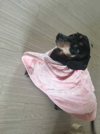 민블리님이 올린 리뷰 사진 2