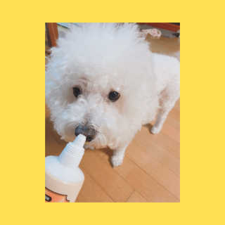 쀼니지브님이 올린 리뷰 사진 3