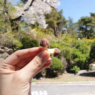 아두님이 올린 리뷰 사진 2