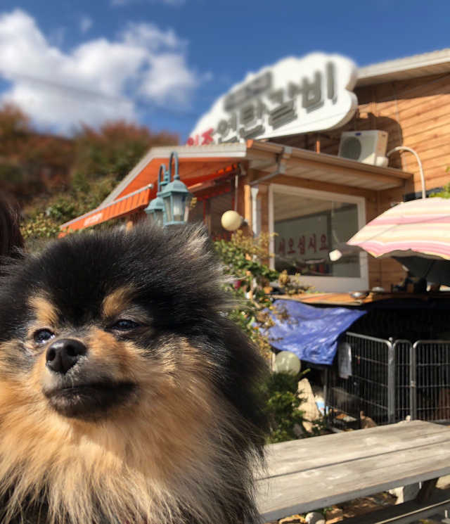 랑스 내츄럴 허벌 페미닌 워시 리뷰 사진