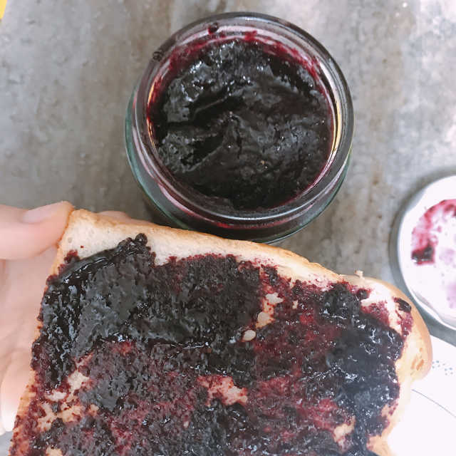 폴라스윗 냉장 블루베리잼 300g 리뷰 사진