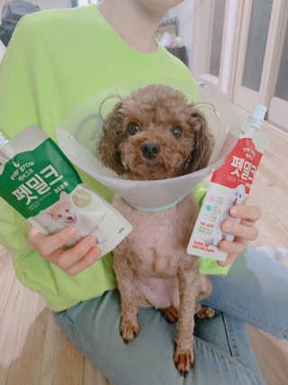 [빙그레] 에버그로 생유산균 1봉（10포입）+펫밀크2팩 — 5점을 준 리뷰어가 2019년 5월 올린 사용 사진
