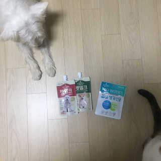[빙그레] 에버그로 생유산균 1봉（10포입）+펫밀크2팩 — 5점을 준 리뷰어가 2019년 6월 올린 사용 사진