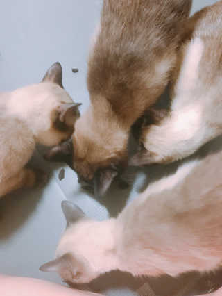 은디님이 올린 리뷰 사진 4