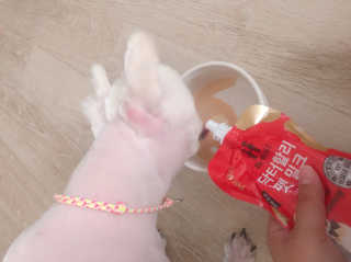 유탱블님이 올린 리뷰 사진 2