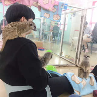 꾸엥님이 올린 리뷰 사진 4