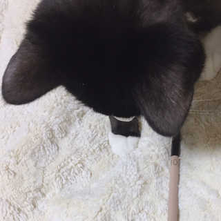 나르미르님이 올린 리뷰 사진 1