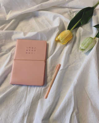리훈 [날짜형7~12월]2019이야기다이어리 데일리 볼펜셋트 — 5점을 준 리뷰어가 2019년 5월 올린 사용 사진