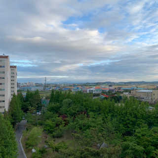 붐차차님이 올린 리뷰 사진 4