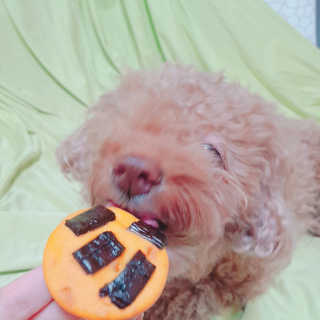 제이드님이 올린 리뷰 사진 3