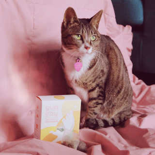 freakinthesheetmask님이 올린 리뷰 사진 1