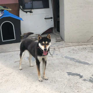 권푸름님이 올린 리뷰 사진 2