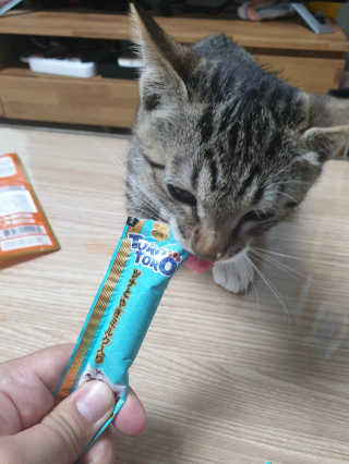 룰루욤욤님이 올린 리뷰 사진 3