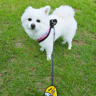 리니님이 올린 리뷰 사진 2