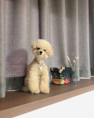 NINI님이 올린 리뷰 사진 1