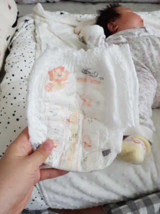 보솜이 리얼코튼 팬티형 — 4점을 준 리뷰어가 2019년 3월 올린 사용 사진